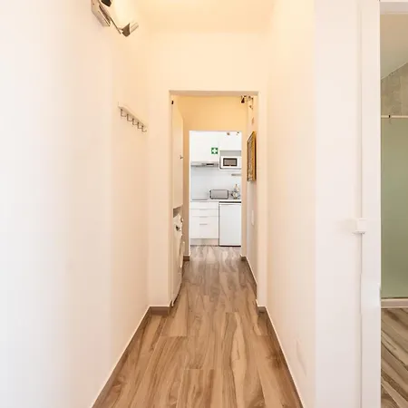 Beguest Oceanic Rainbow