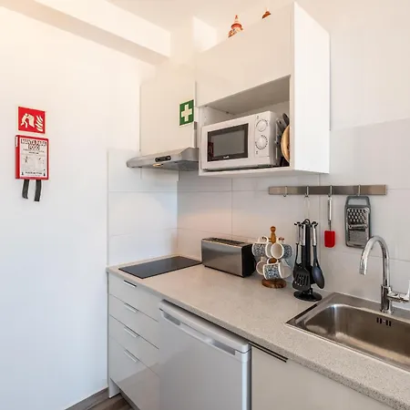 Beguest Oceanic Rainbow *