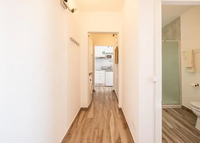 Beguest Oceanic Rainbow